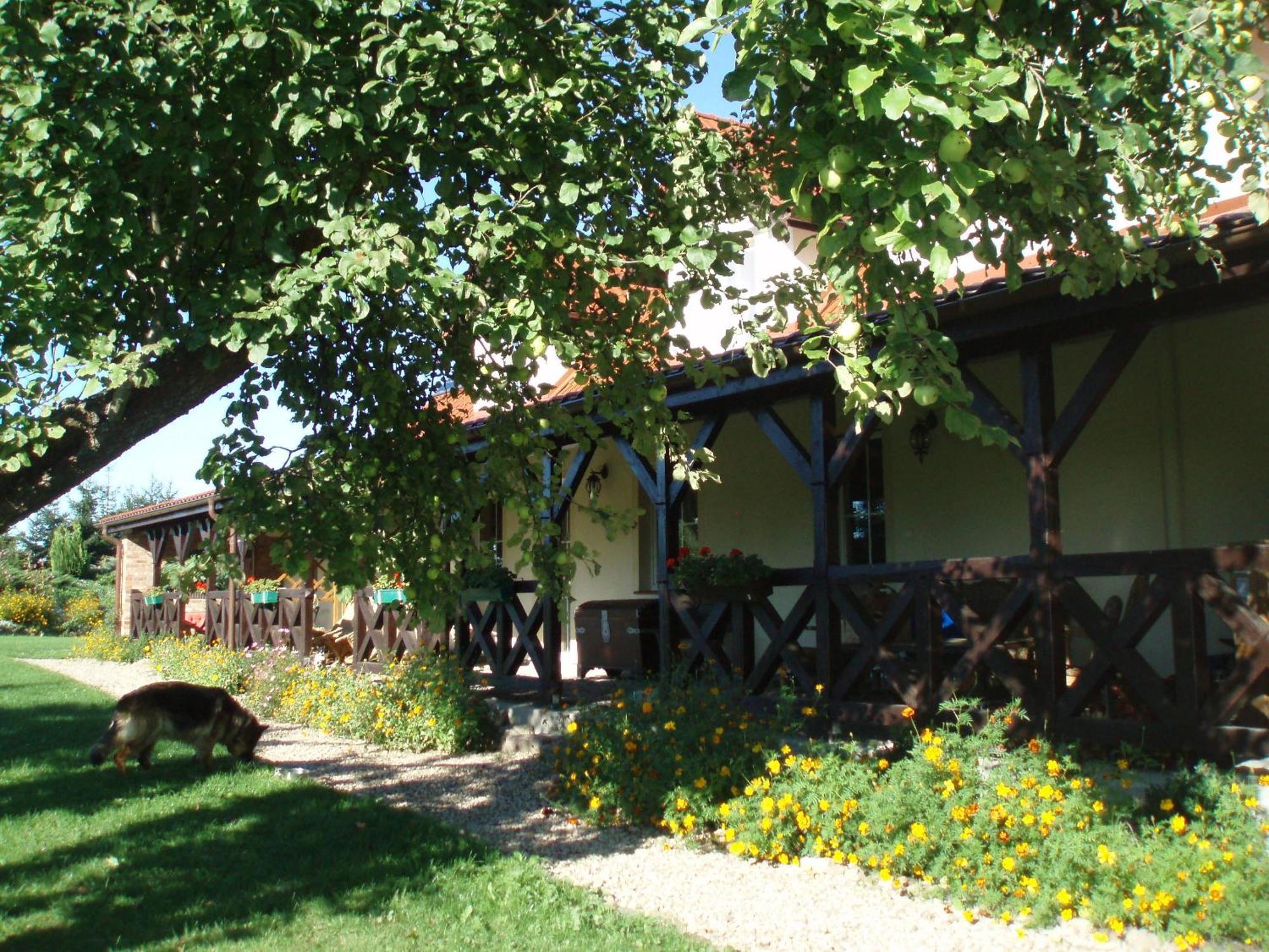 Siedlisko Sabinowo Villa Венгожево Екстериор снимка