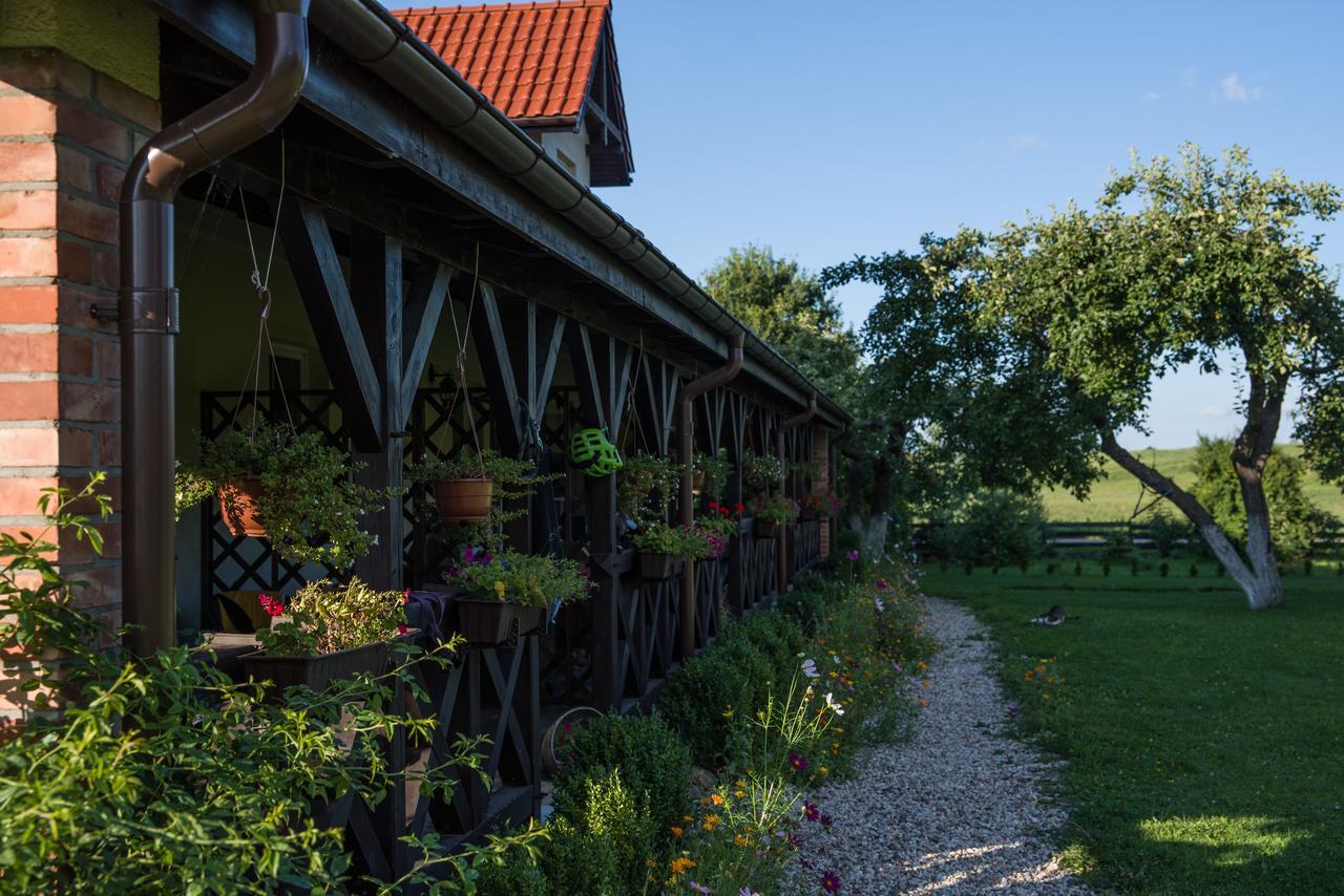 Siedlisko Sabinowo Villa Венгожево Екстериор снимка
